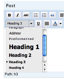 Select Heading 3 from the dropdown formatting menu Heading 3 selection box in WordPress